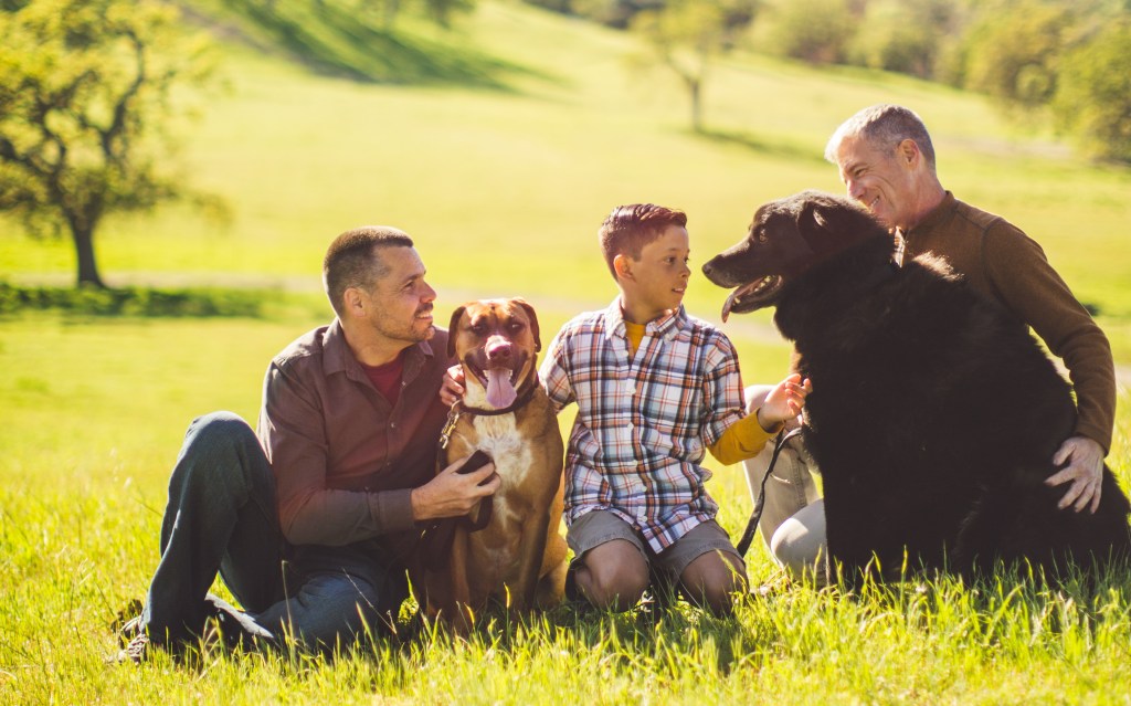 From Love to Legal Protection: Why Marriage Equality&nbsp;Matters